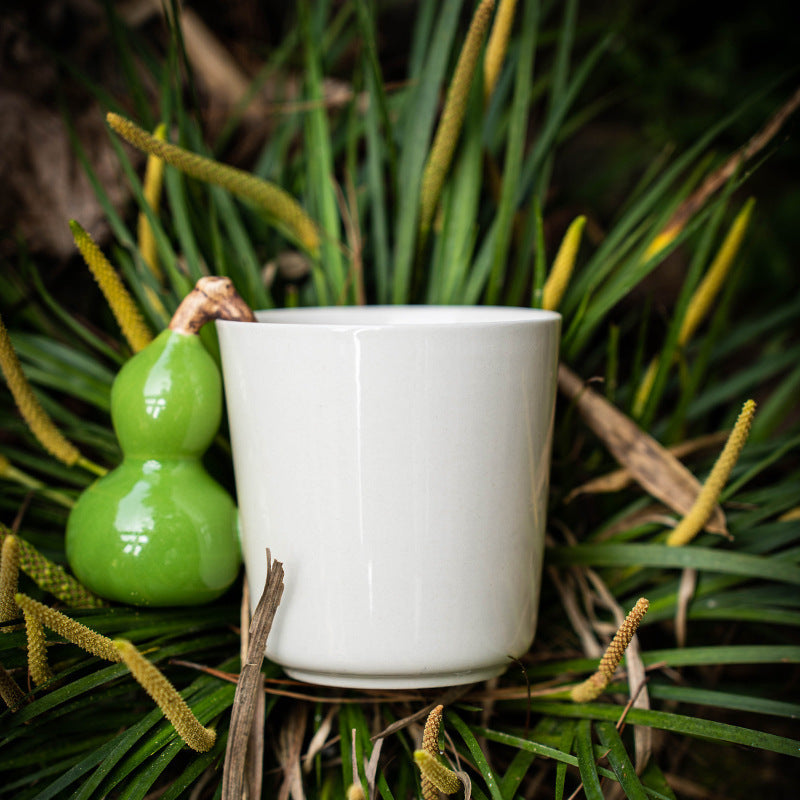 Cream ceramic mug with green gourd handle against garden foliage